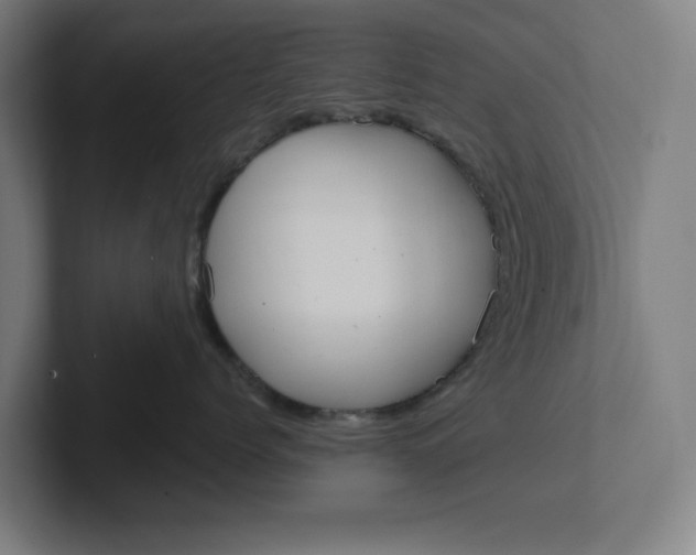 X0000102000768200808011122