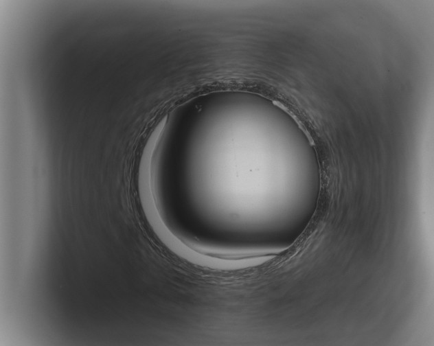 X0000102000769200808011121