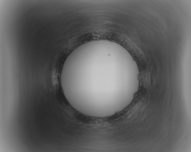 X0000102000770200808011121