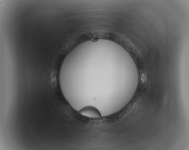 X0000102000771200808011121