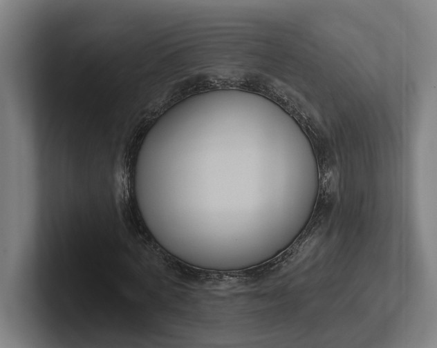 X0000102000772200808011121