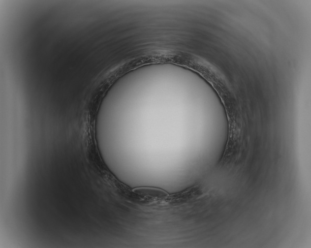 X0000102000773200808011121