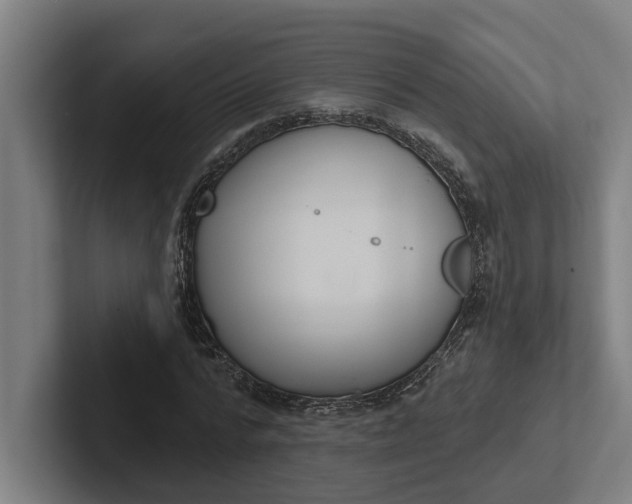 X0000102000776200808011121