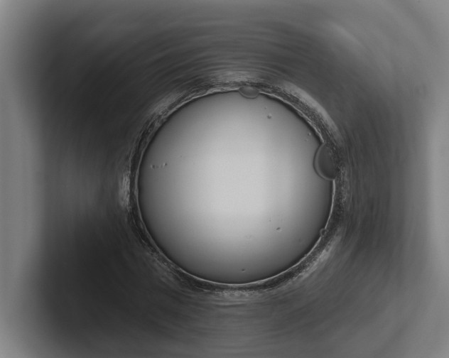 X0000102000777200808011121