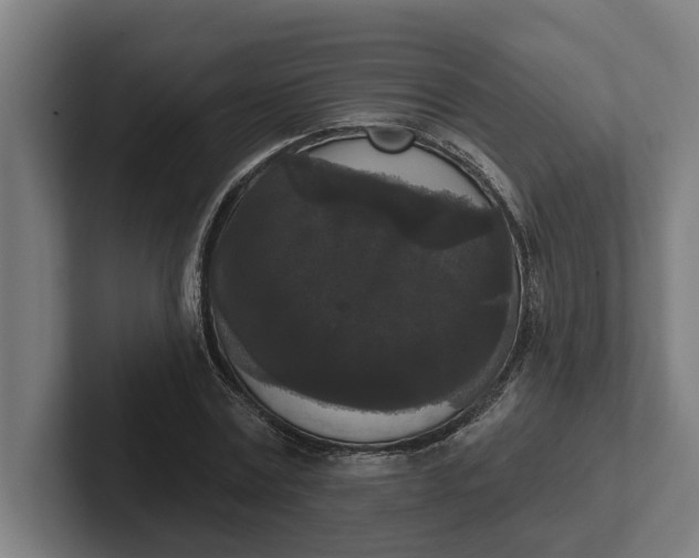 X0000102000779200808011121