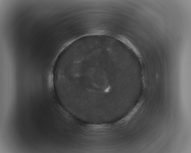 X0000102000781200808011121