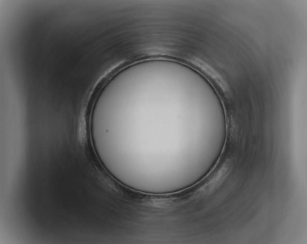 X0000102000782200808011121