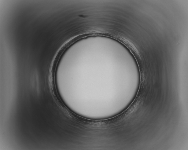 X0000102000784200808011121