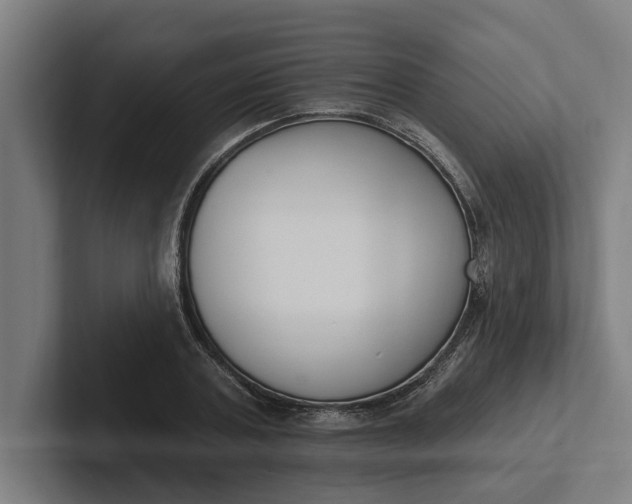 X0000102000787200808011121