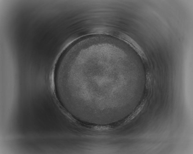 X0000102000788200808011121