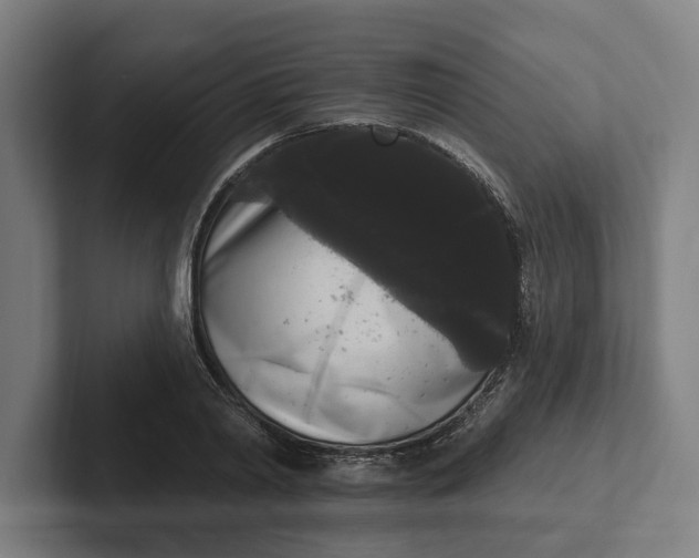 X0000102000790200808011121