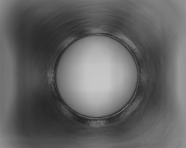 X0000102000793200808011121