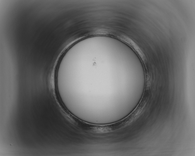 X0000102000795200808011121