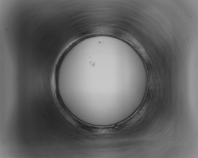 X0000102000796200808011121