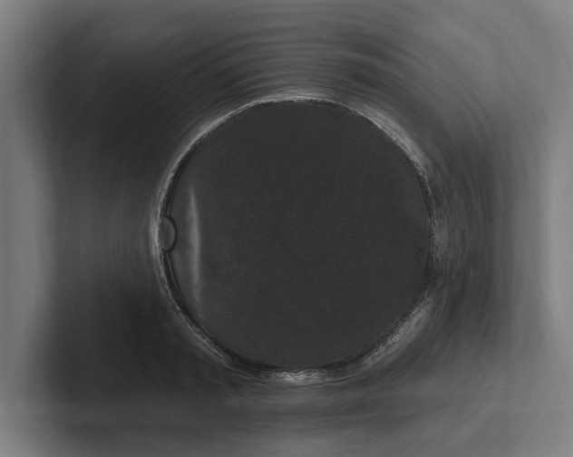 X0000102000797200808011120