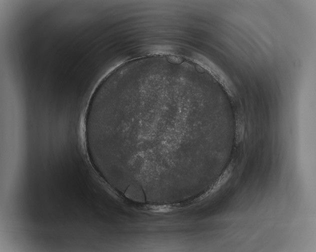 X0000102000798200808011120