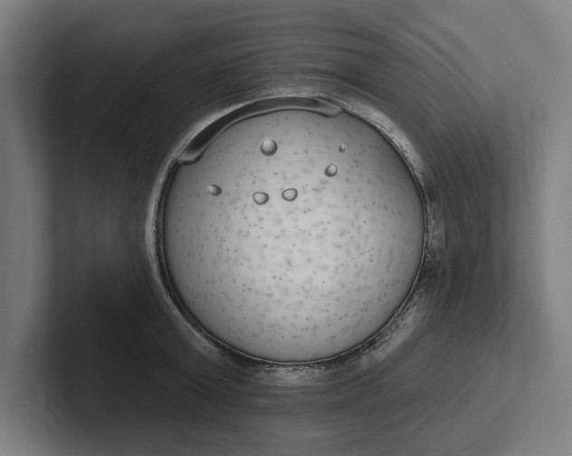 X0000102000803200808011120