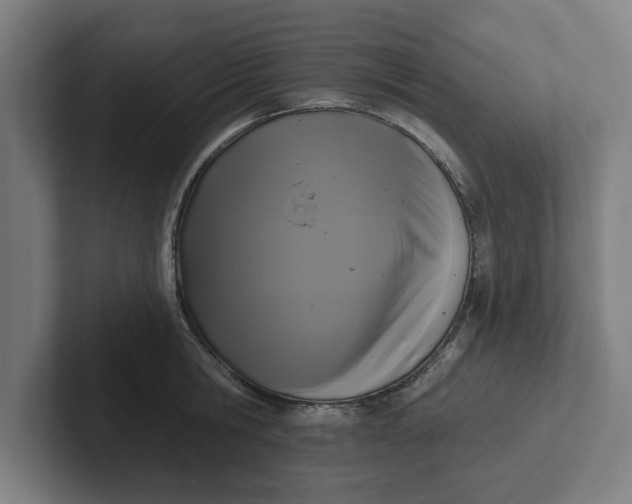 X0000102000806200808011120