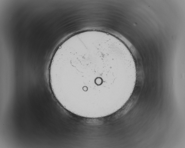 X0000102000807200808011120