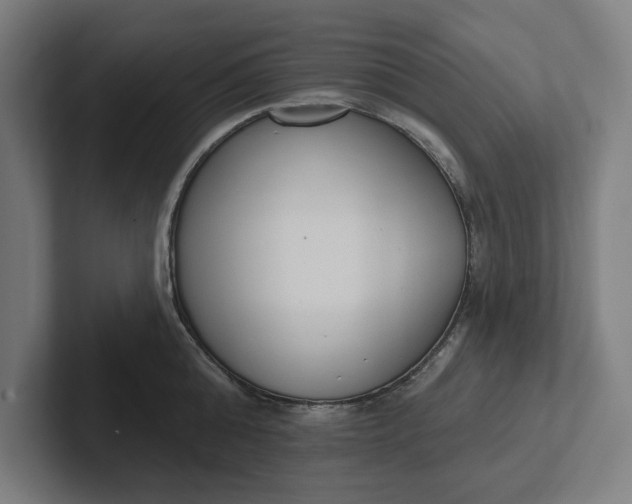 X0000102000808200808011120