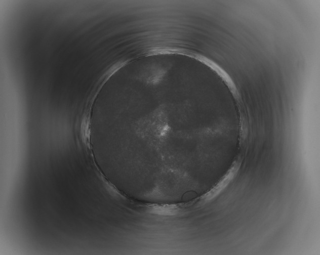 X0000102000809200808011120