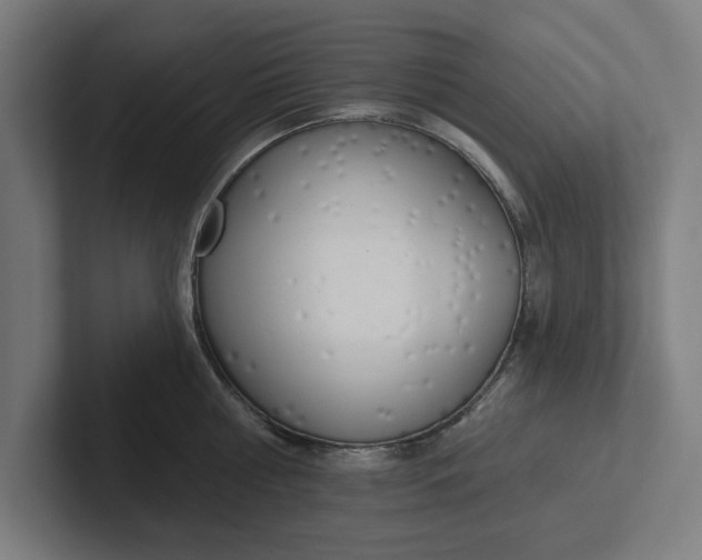 X0000102000810200808011120