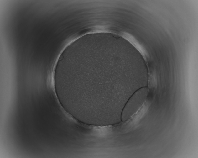 X0000102000813200808011120