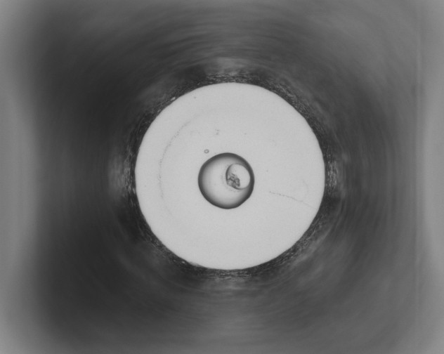 X0000102000820200808011120