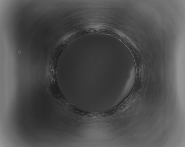 X0000102000822200808011120