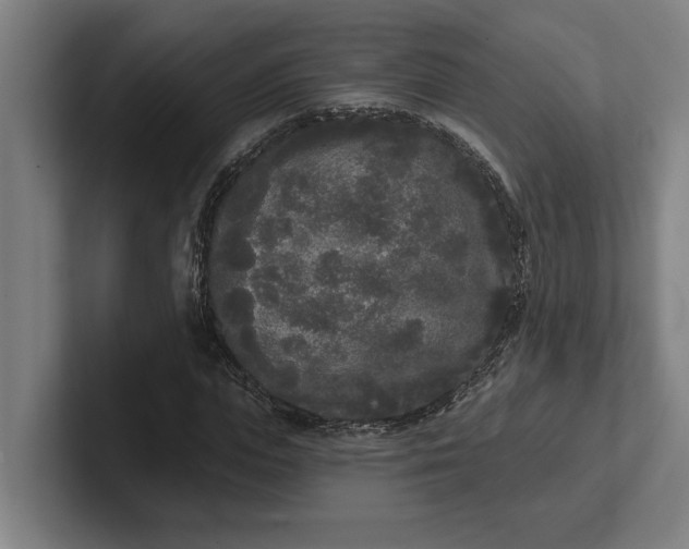 X0000102000823200808011120