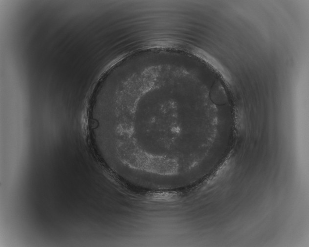 X0000102000826200808011120