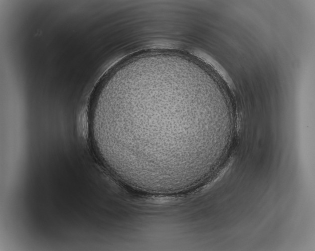 X0000102000829200808011120