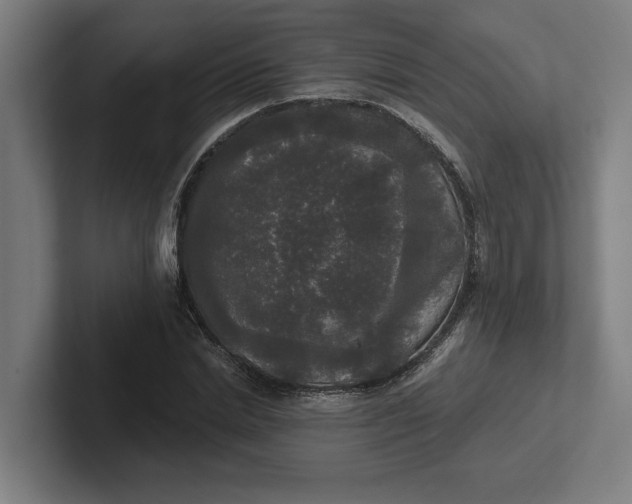 X0000102000830200808011120