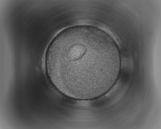 X0000102000836200808011120