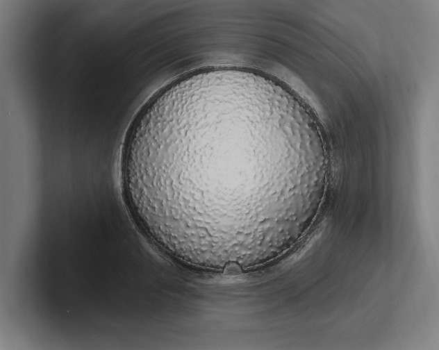 X0000102000845200808011120