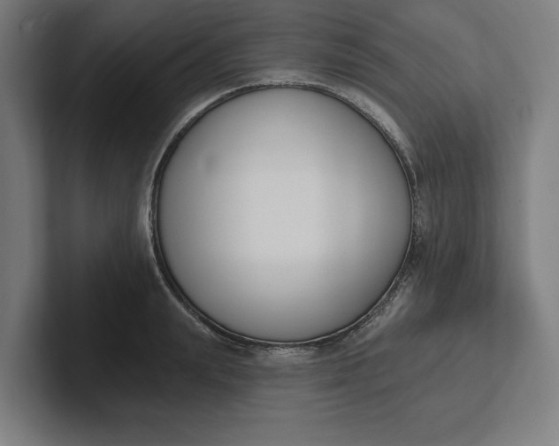 X0000102000847200808011120