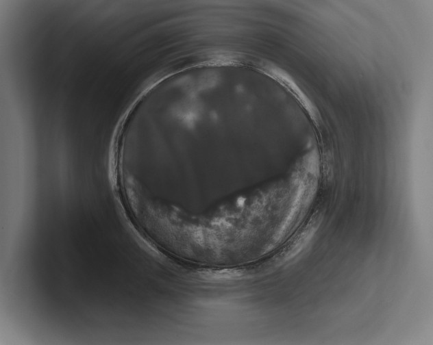 X0000102000851200808011120