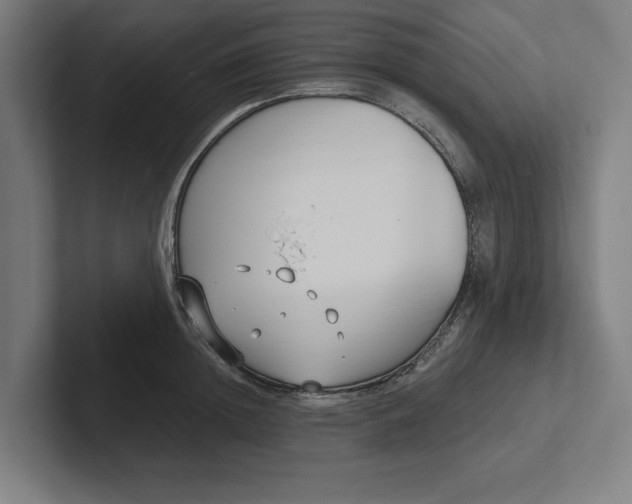 X0000102000852200808011120