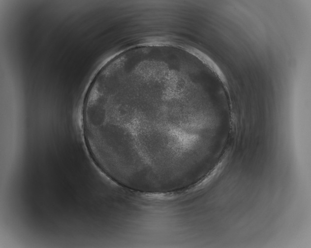 X0000102000855200808011120