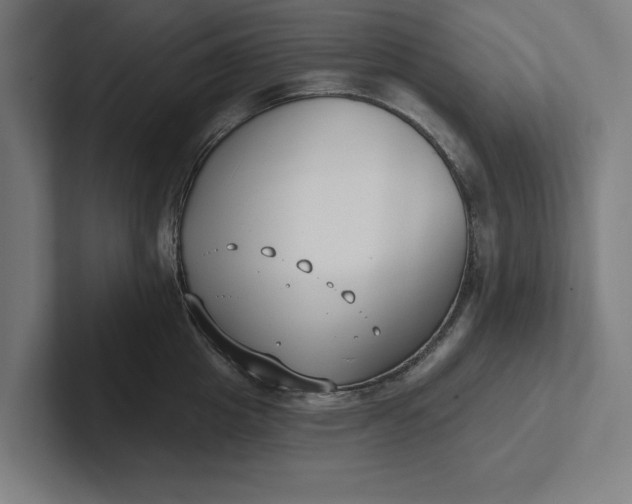 X0000102000857200808011120