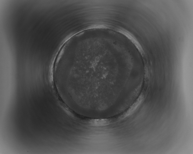 X0000102000858200808011120