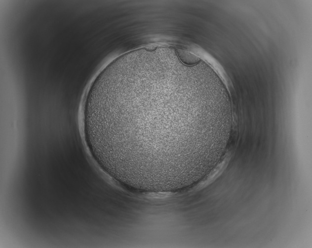 X0000102000859200808011120