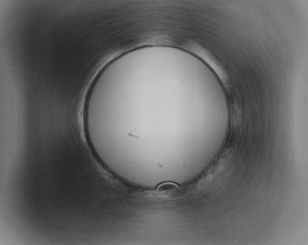 X0000102000861200808011120