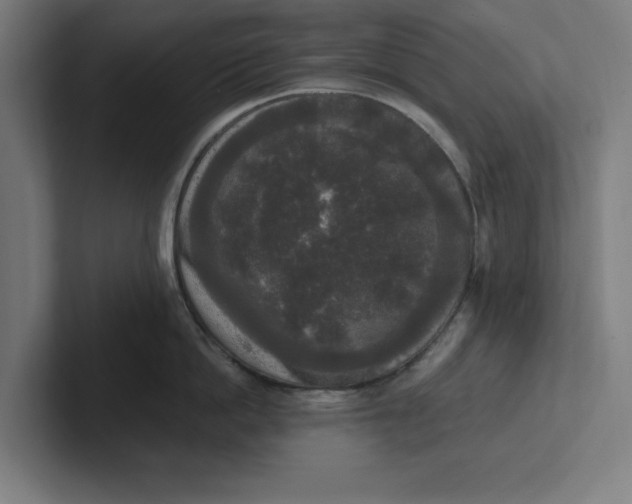 X0000102000862200808011120