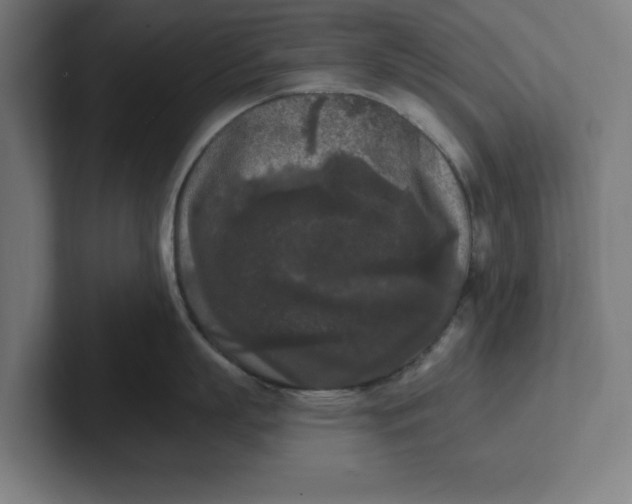 X0000102000863200808011120