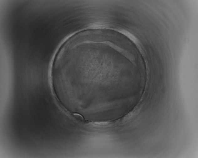 X0000102000864200808011120