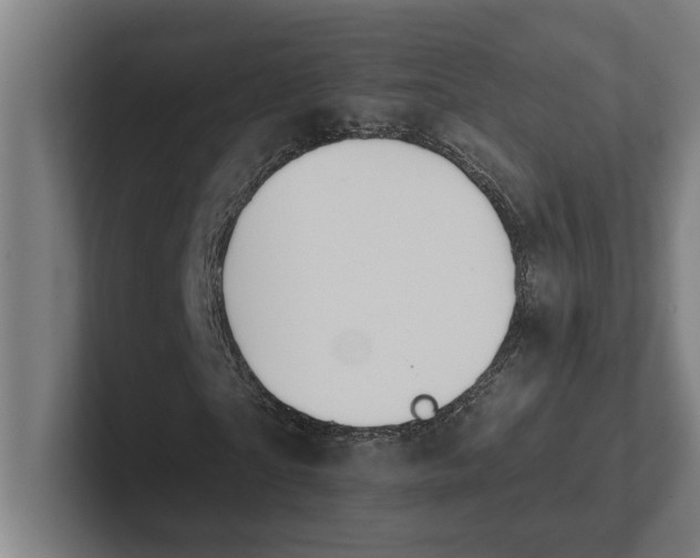 X0000102000865200808011120