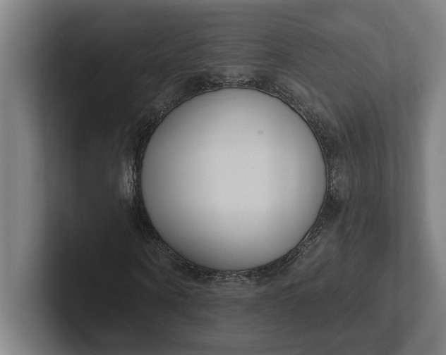 X0000102000866200808011120