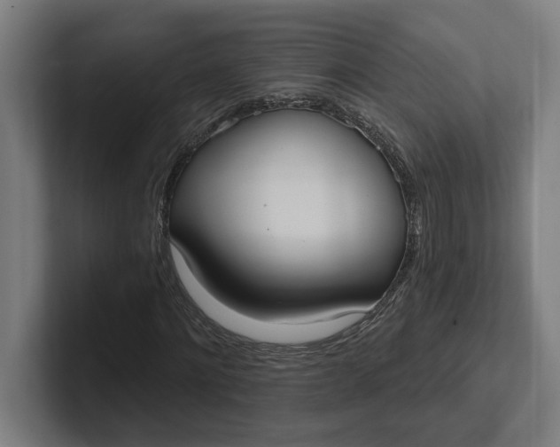 X0000102000868200808011119