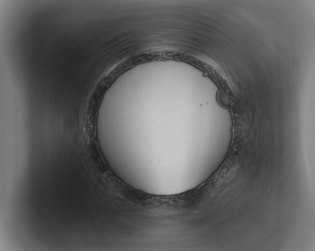 X0000102000871200808011119